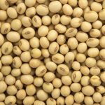 Soybean for sale – Bulk Organic Soya wholesale supplier