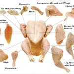 Halal Frozen Chicken