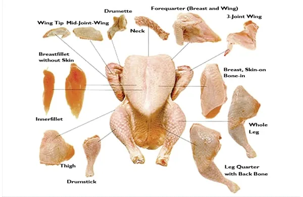 Halal Frozen Chicken