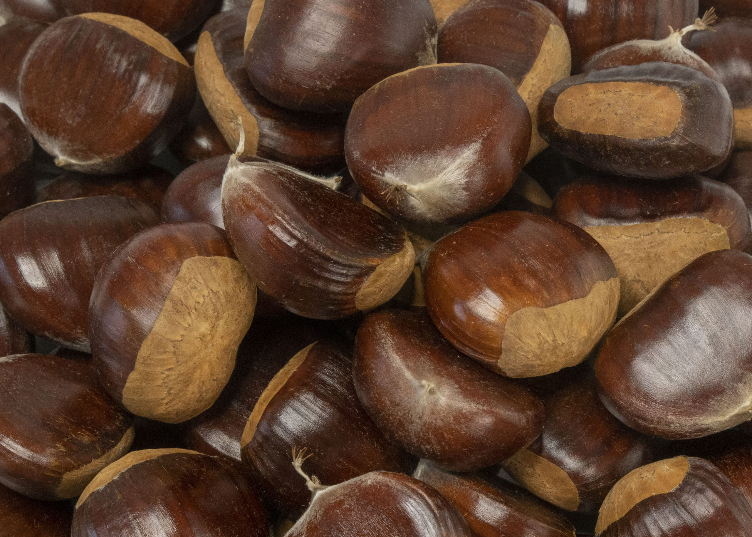 Chestnuts Large Fresh