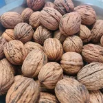 Buy walnuts wholesale at the best price
