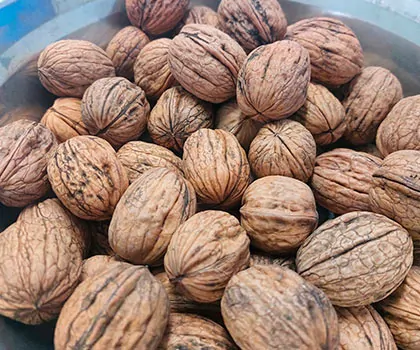 Buy walnuts wholesale at the best price