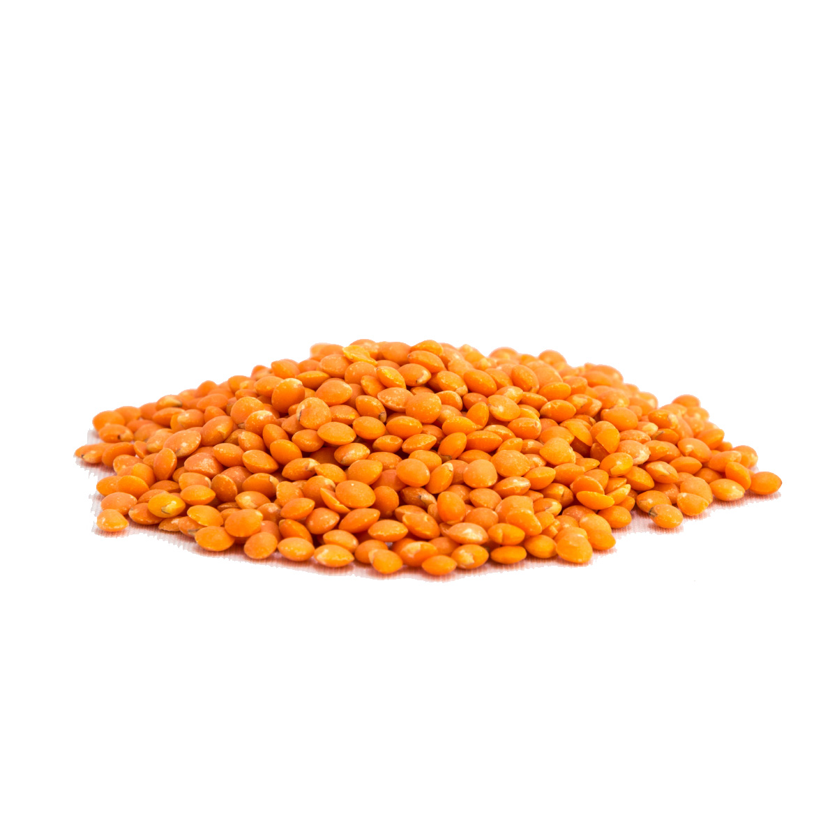 Lentils – Red