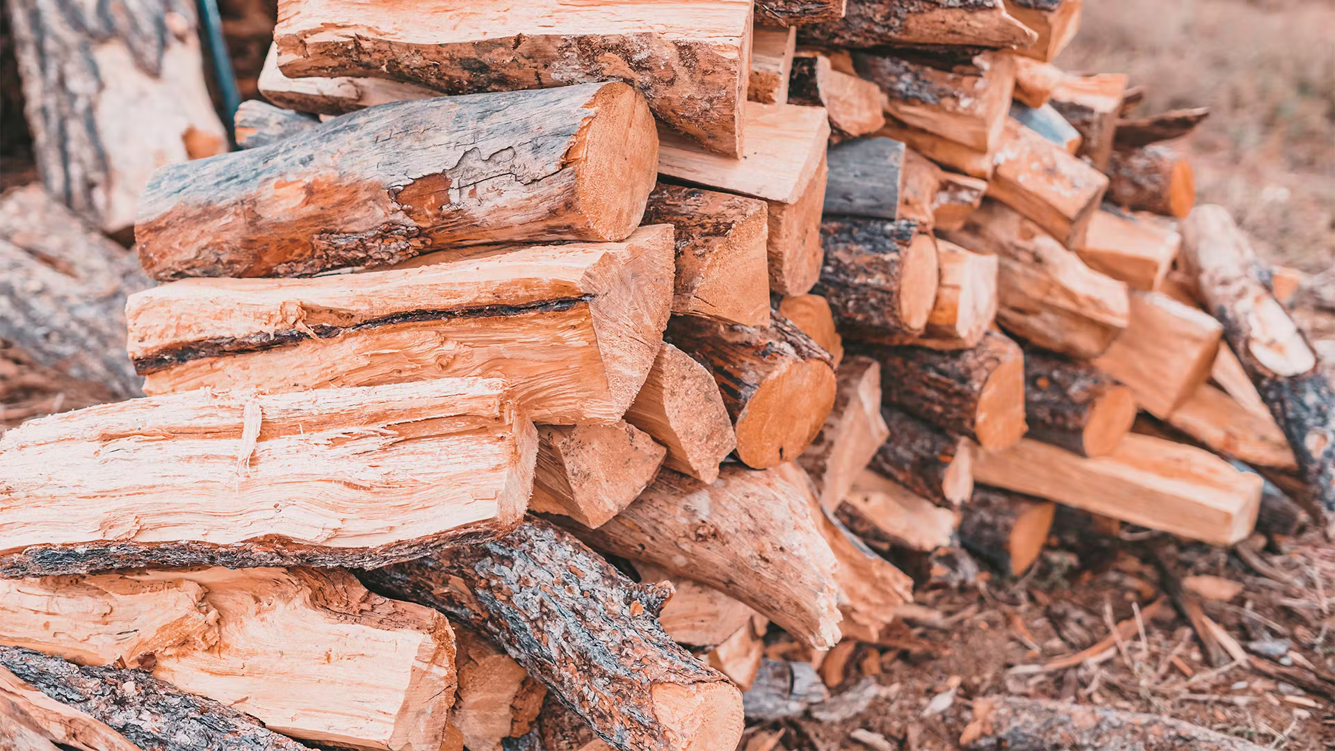 Premium Oak, Birch, Beech, Dry Birch Ash Oak Firewood