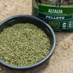 Alfalfa Pellets – Premium Quality Feed