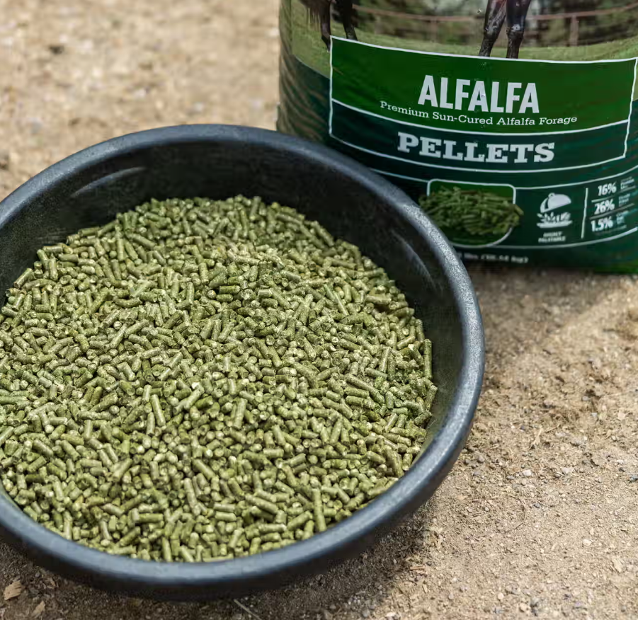 Alfalfa Pellets – Premium Quality Feed