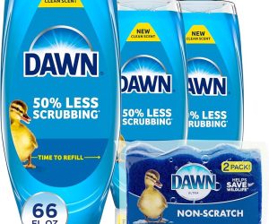 Dawn Dishwashing Liquid